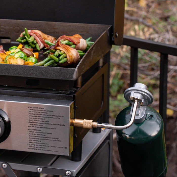 Blackstone barbecues best sale