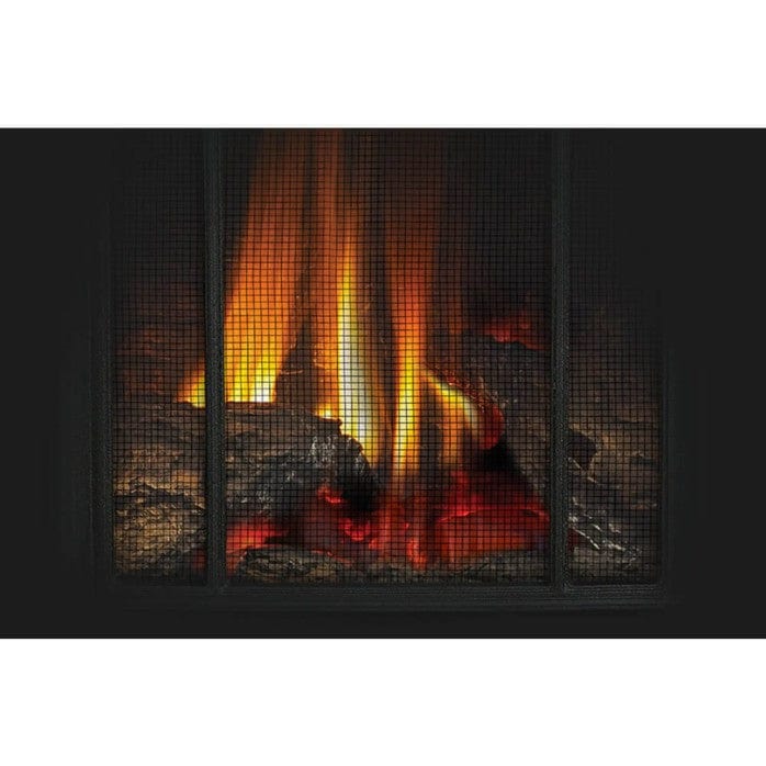 Napoleon Napoleon Arlington Gas Stove (Electronic Ignition) Fireplace Finished - Gas