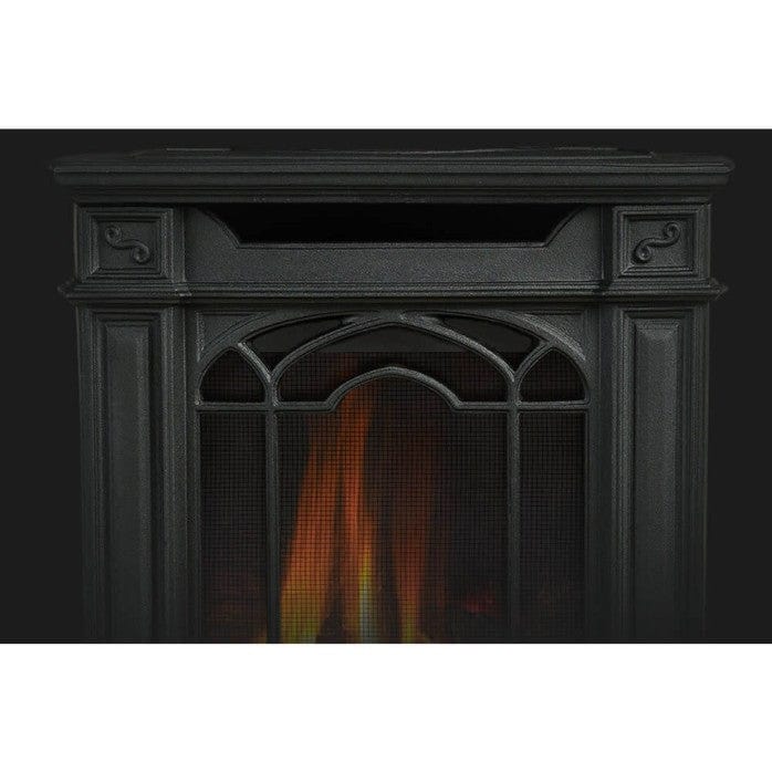 Napoleon Napoleon Arlington Gas Stove (Electronic Ignition) Fireplace Finished - Gas