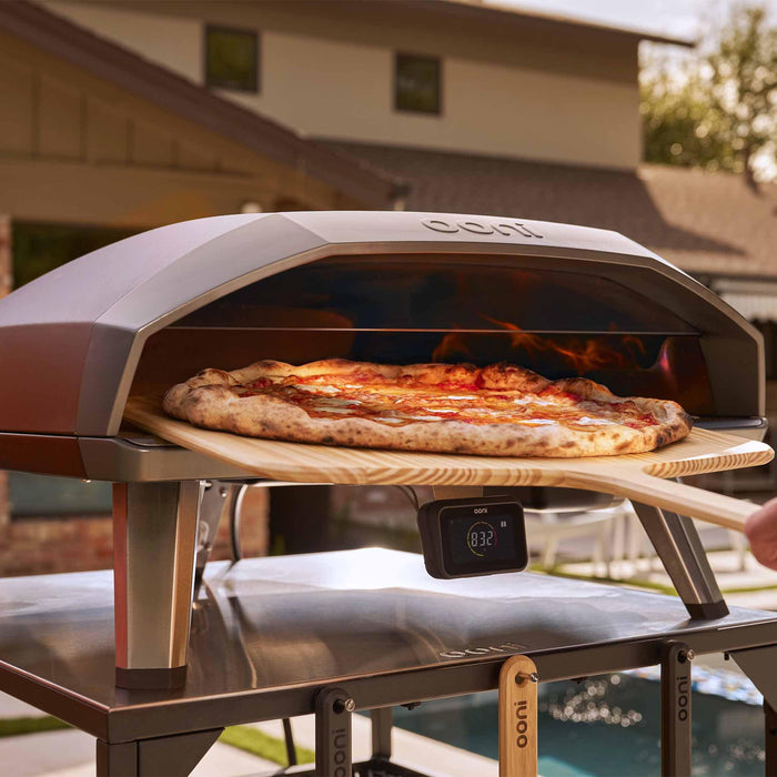 Gas powered pizza oven hotsell