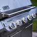 Weber Weber Summit FS38 S Gas Grill (Stainless Steel) Barbecue Finished - Gas